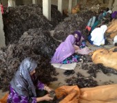 Afghan Women Working in Habib Omid